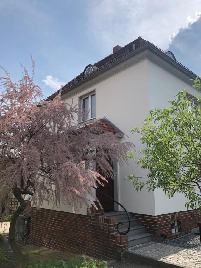 Haus Welzel Dresden Exterior foto